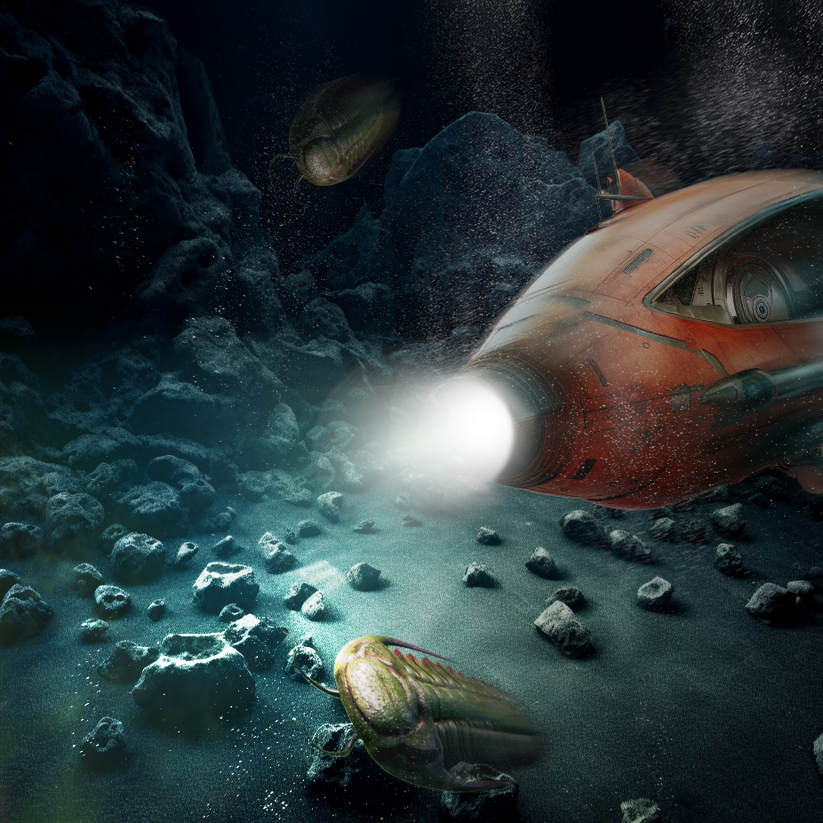 3D Model "Oyster"
